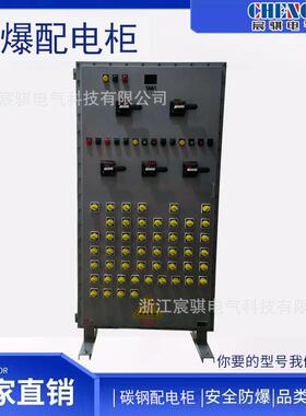 现场防爆配电柜 带防雨罩防爆配电柜 IIC级防爆配电柜 动力配电柜