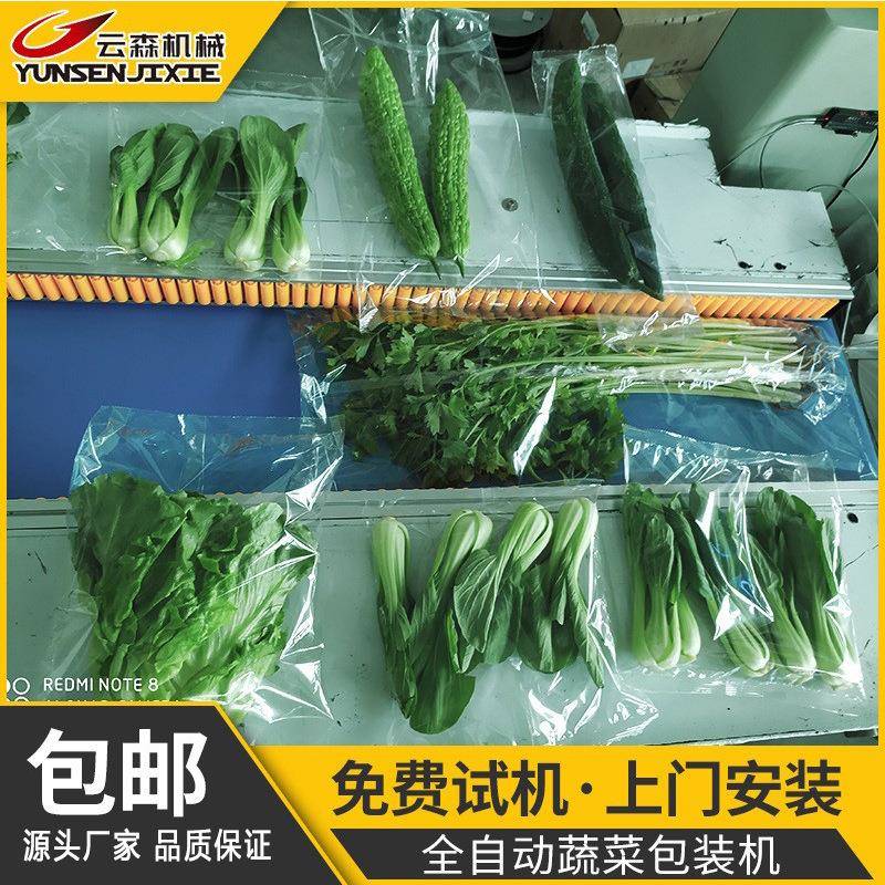 全自动生鲜蔬菜瓜果打包机食品商超小型三伺服枕式切封包装机