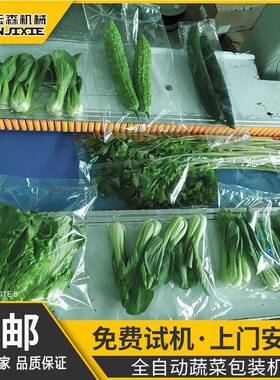 云森全自动生鲜蔬菜瓜果打包机食品商超小型三伺服枕式切封包装机