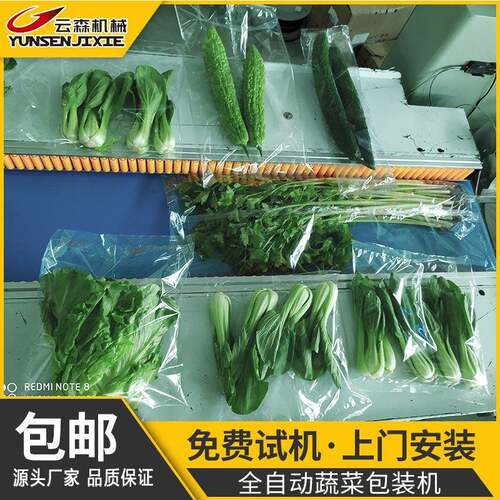 全自动生鲜蔬菜瓜果打包机食品商超小型三伺服枕式切封包装机