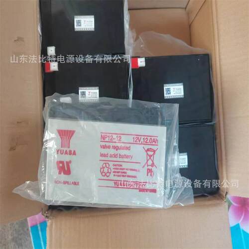 GS汤浅蓄电池NP0.8-12精密仪器12V0.8Ah进口电子产品适用 YUASA