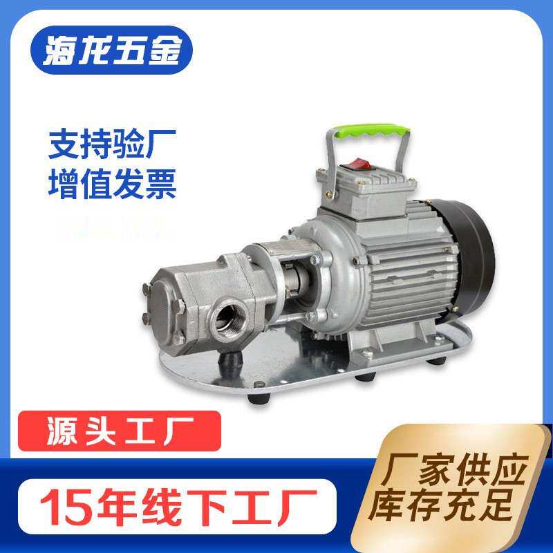 手提齿轮泵微型柴油液压泵机油220v小型不锈钢wcb电动抽油泵