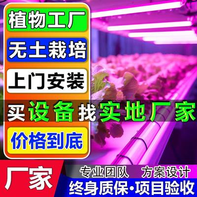 智能植物工厂集装箱无土栽培蔬菜水培立体种植物设备温室系统