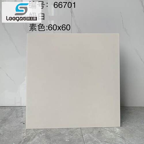 直销新款广东砖600x600工程仿古砖宿舍地砖出租屋房间阳台哑光防