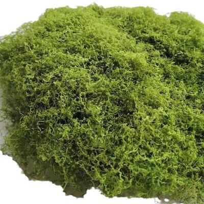 仿真毛线绿色假苔藓造影青苔绿植微景装饰铺面人造草坪石头草皮