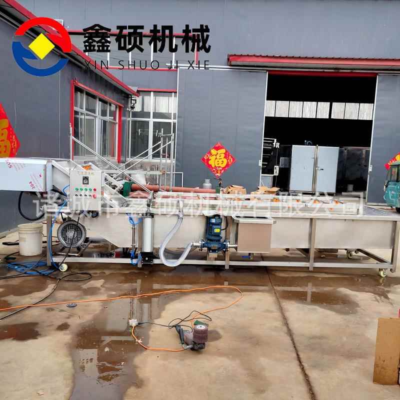 小龙虾喷淋清洗设备苹果梨气泡清洗机水果罐头果汁成套设备