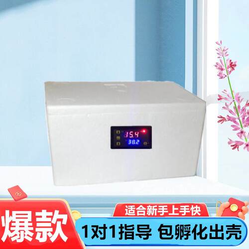 水床孵化器家用小型全自动恒温小鸡鸭鹅鸽子鹦鹉乌龟孵化箱孵蛋机