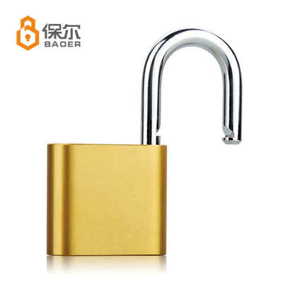 工业安全二级管理双钥匙同时直开铜挂锁适用银行酒店高精度安全锁