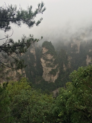 实话真说创维55m1与55M7S哪个口碑好，评测揭秘真相