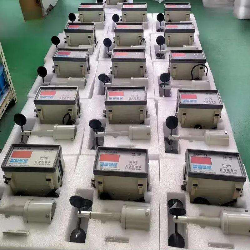 牌F6RTI风速报警仪Y塔吊塔机用42-0ma