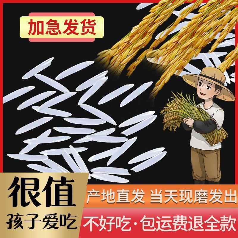 广西长寿市猫牙米10斤长粒香煲仔饭丝苗大米蛋炒饭新米官方旗舰店