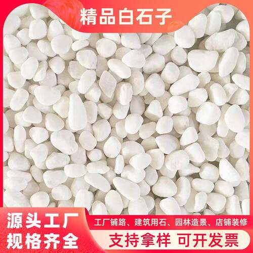 厂家直发白石子造景石白色鹅卵石鱼缸盆栽铺面阳台庭院造景白石子