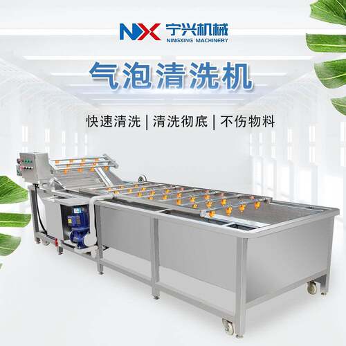 大型草莓气泡清洗机圣女果清洗设备全自动鱼虾海鲜清洗机器