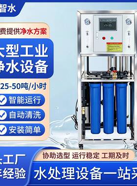 大型RO反渗透水处理设备地下井水去离子大流量商用净水器出水直饮