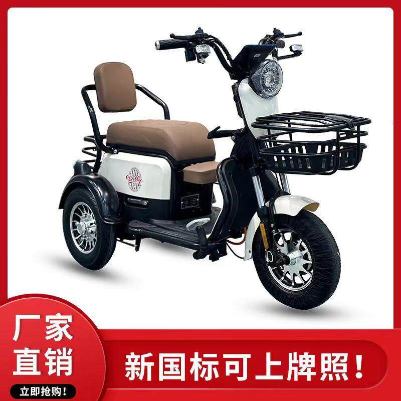 国标新款电动三轮车成人接送孩子女士代步三轮车小型代步家用电车