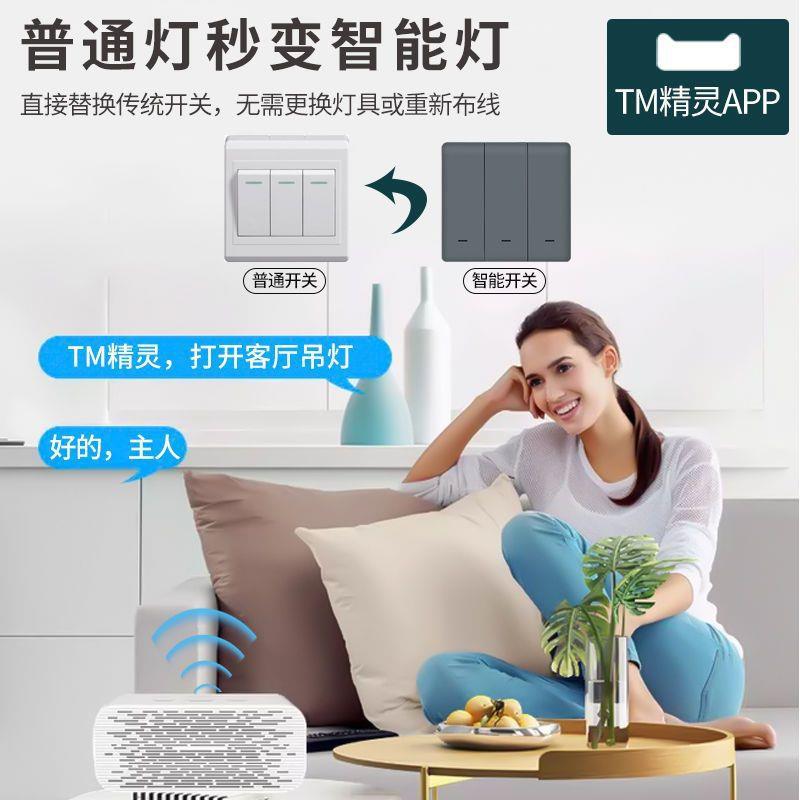 TM精灵双控开关家用语音声控手机定时控制远程无线遥控灯智能面板