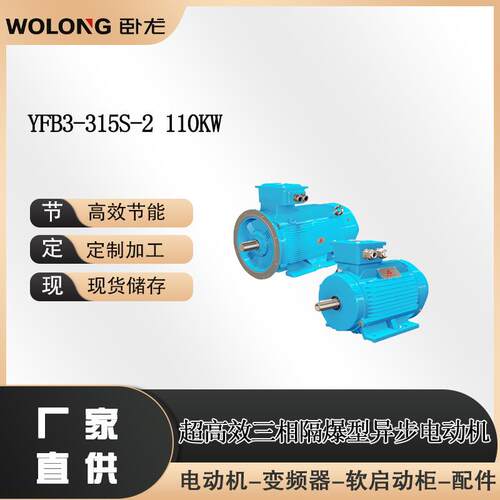 YFB3-315S-2110W粉尘防爆变频电机水泵防爆电机