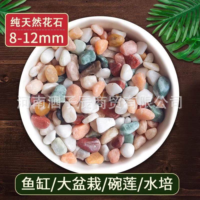 天然鱼缸造铺底盆栽水培多肉植物铺面装饰小石头,宠物/宠物食品及用品,造景/装饰,淘宝优惠券,粉丝福利购,淘宝优惠卷