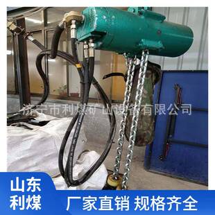 6～30 气动葫芦HC20 矿用钢丝绳电动葫芦 环链式 HQ0.5