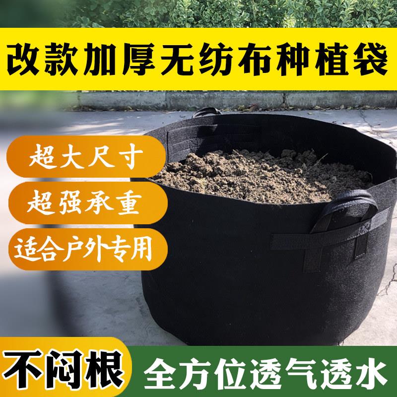 黑色无纺布种植袋全新升级款户外加厚超大种树种花特大美植袋花盆图片