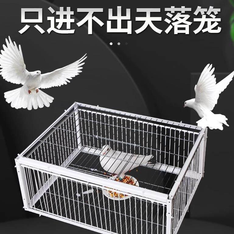 新款加密只进不出鸽子笼天落笼户外撞门笼全自动收鸽笼捕鸽子神器