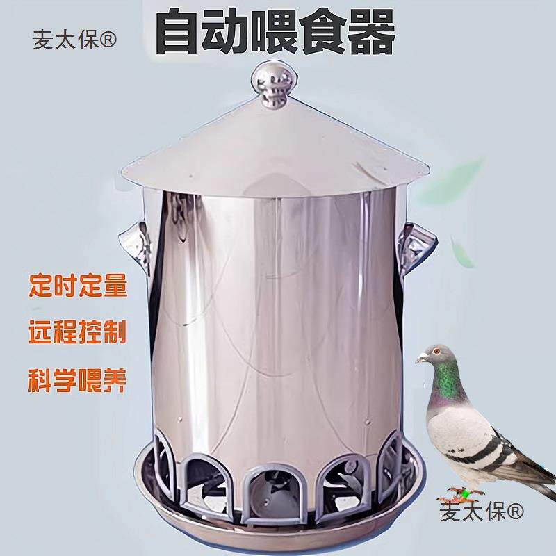 喂砂大号防撒全自动定时喂食器大容量鸽子信鸽不锈钢食槽麦太保