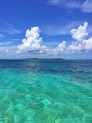 极米和小米投影仪对比细节,大家说说哪个好用些?