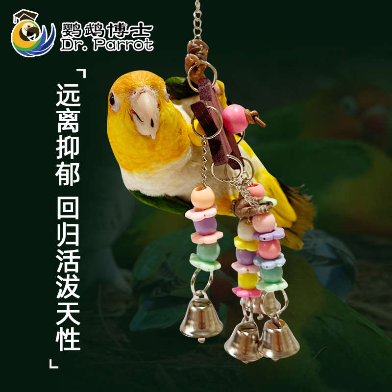 中小型鹦鹉啃咬玩具鸟笼挂饰彩色亚克力玩具牡丹抓咬铃铛解压解闷