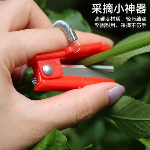 葡萄掐须刀豆角黄瓜苦瓜樱桃疏果采摘神器掐尖拇指刀摘果子小铡刀