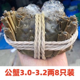 重庆满膏鲜活大闸蟹3.0-3.2两全公蟹8只装鲜活螃蟹特大蟹