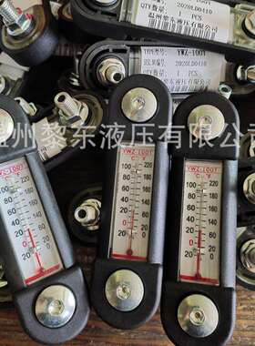 原装煤矿专用液位计铁型系列YWZ-100T125254381液温液位计油窗
