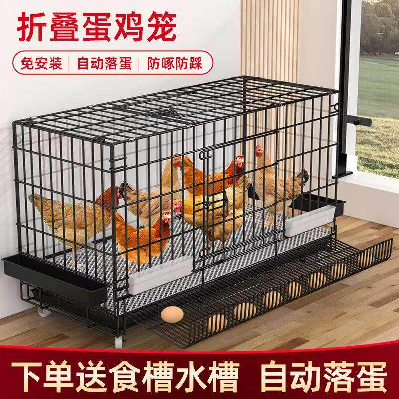 鸡笼子家用室外大号养鸡家用室内滚蛋鸡笼自动出蛋母鸡笼鸭笼鹅笼