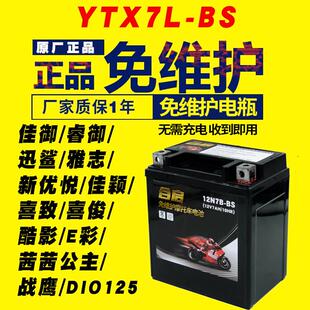 本田NS125睿御讯鲨佳颖雅志喜俊酷影茜茜公主摩托车电瓶12v蓄电池
