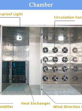 出口热泵水果蔬菜烘干机 Heat Pump Dryer Fruit Drying Room