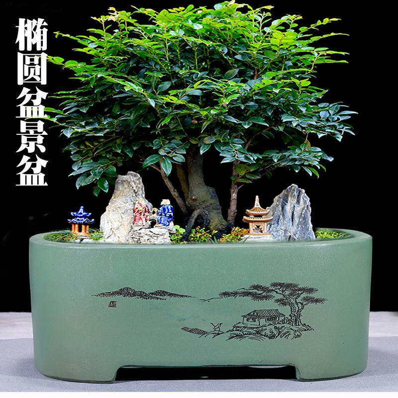 紫砂花盆椭圆形榕树盆栽室内桌面灵芝文竹盆景盆户外大号陶瓷花盆