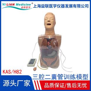 三腔二囊管训练模型鼻饲洗胃术胃镜检查气管切开