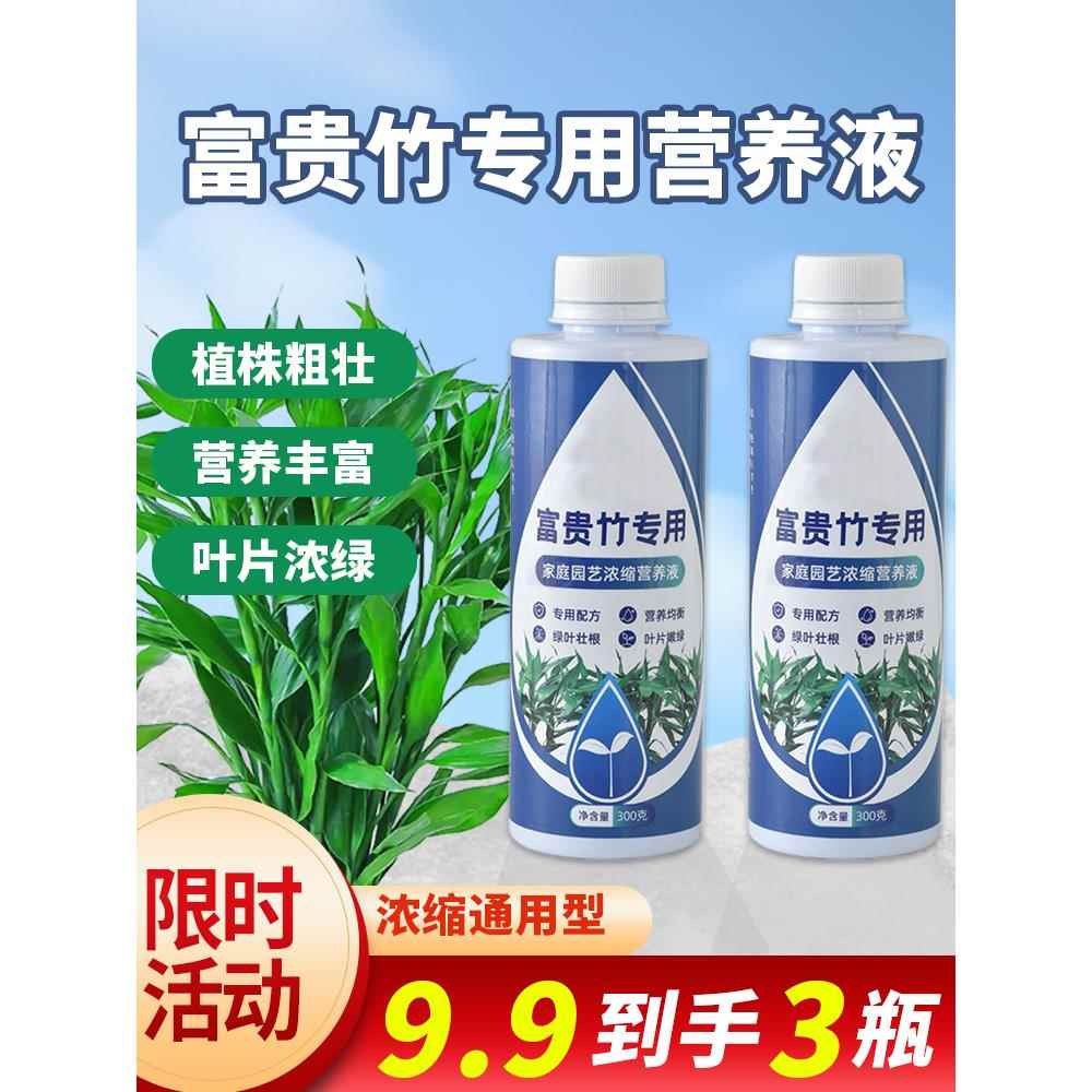 富贵竹专用营养液水培治黄叶促生根转运竹观音竹家用盆栽通用肥料