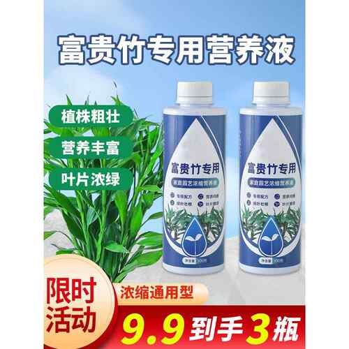 富贵竹专用营养液水培治黄叶促生根转运竹观音竹家用盆栽通用肥料