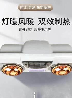 壁挂式两灯浴霸卫防生间BGYB0223浴室免取打孔暖用家灯暖水防爆两