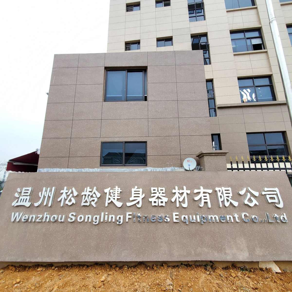 松龄海豚按摩器棒充电敲打捶肩颈部腰部全身多功能电震振动手持式