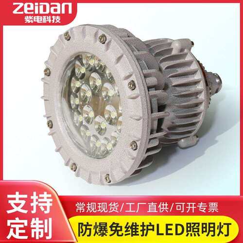 LED防爆灯加油站工业厂防爆免维护隔爆型投光灯泛光灯KHD210型