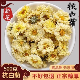 菊花茶杭白菊500g花桐乡特级正宗杭菊杭州贡菊胎菊