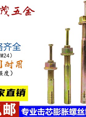 高强度击芯膨胀螺丝击心机芯膨胀螺栓加长敲击锤一钉得举升机膨胀