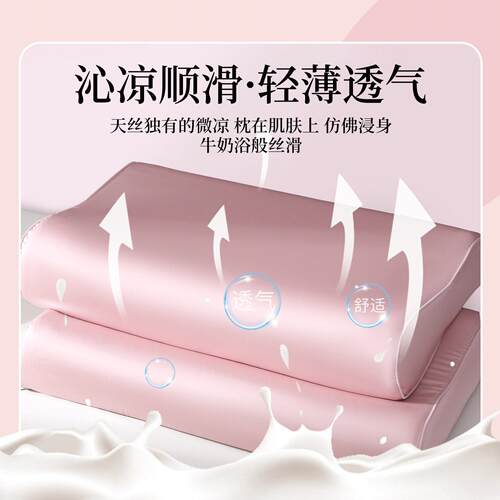 100S兰精天丝乳胶枕头套40x60cm一对装冰丝橡胶记忆枕整头内胆套