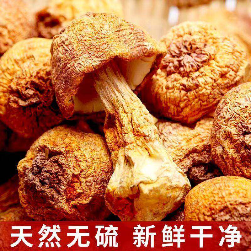 菌裕云南姬松茸干 干货500g无薰硫小菇巴西菇特产彷野生松茸当日