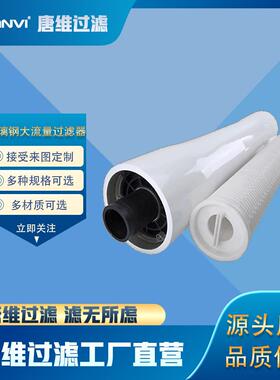 式家玻璃钢大流量过滤器折叠囊过滤滤芯厂直供NIG发货