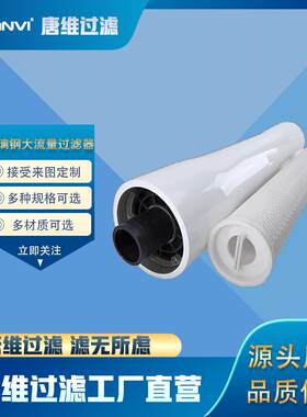 a米nRRVTvi玻璃大流量过滤器耐酸碱钢海水淡化过滤0.5微通用