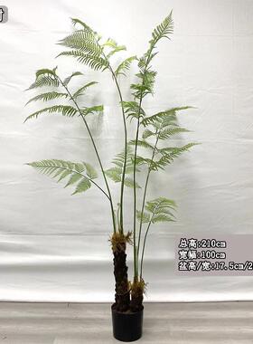 仿真金猴丝树蕨新中斯式简约风格波蕨99073树羊齿草叶地景花箱用