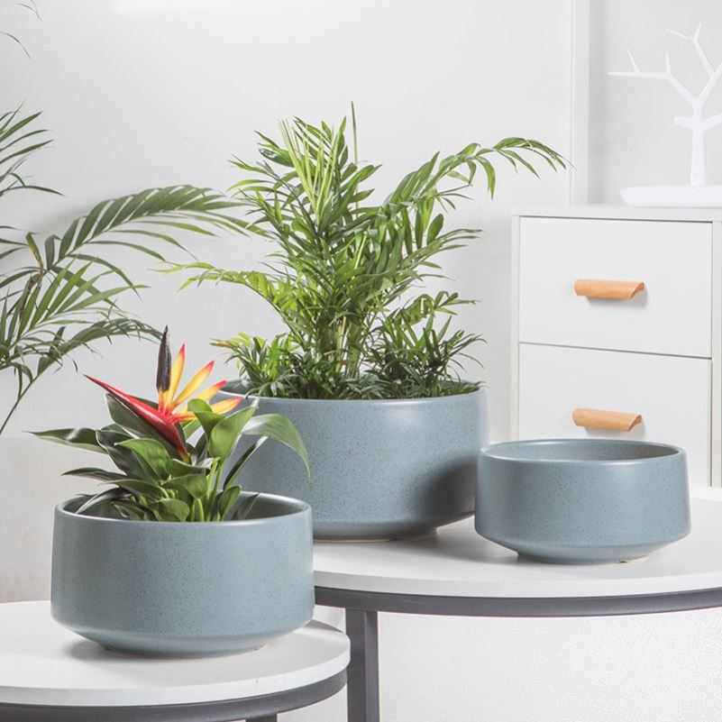 花盆大口径大号陶土盆陶瓷矮款简约创意蝴蝶兰多肉绿萝盆栽