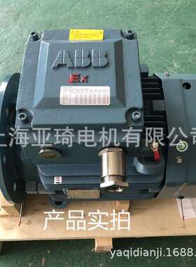 ATEX认证防爆电机CE认证防爆电机AEX II CT4 防爆马达
